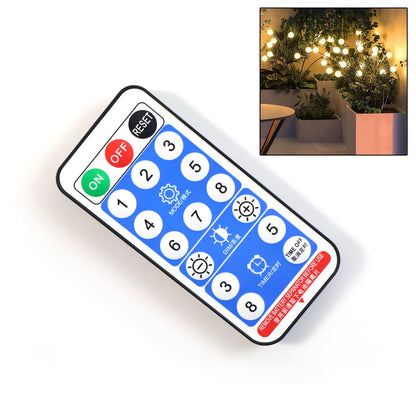 LED Cluster Lights