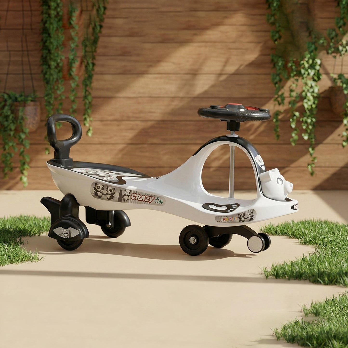 Baby Push Car